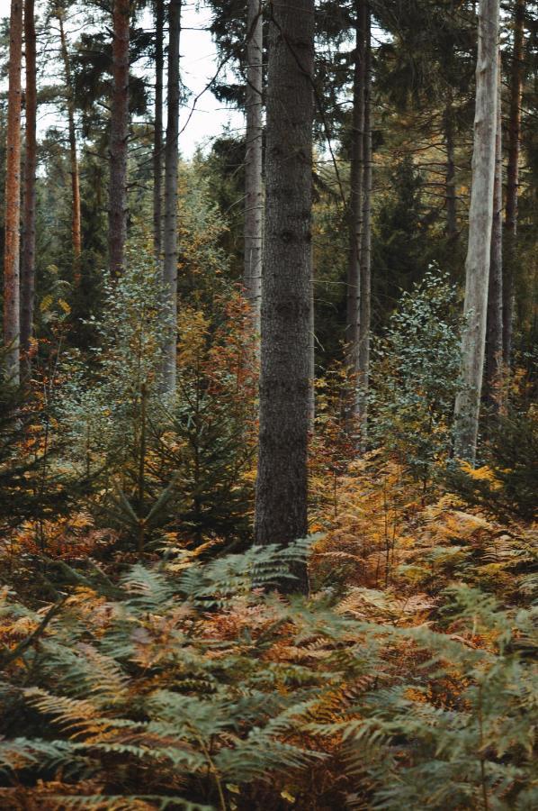 Zur Margarethenmuehle - Landgasthof Und Waldhotel Rosswein Экстерьер фото